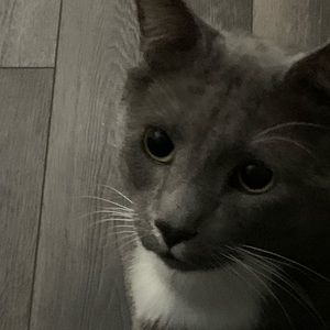 Meet your Posher, Hailey